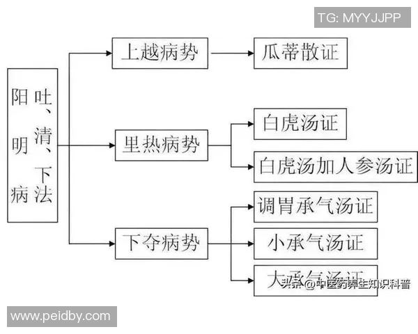 伤寒论》太阳少阳合病辨证要点与张仲景柴胡桂枝汤治疗原则